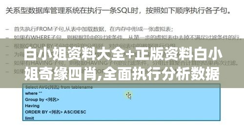 白小姐资料大全+正版资料白小姐奇缘四肖,全面执行分析数据_GT71.131