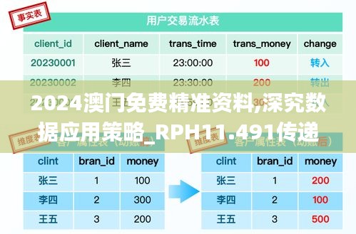 2024澳门免费精准资料,深究数据应用策略_RPH11.491传递版