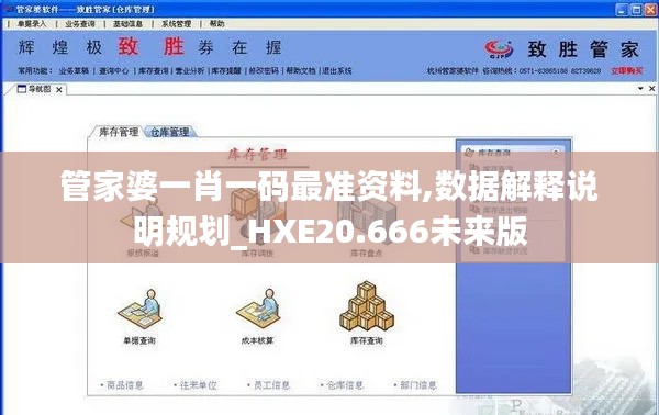 管家婆一肖一码最准资料,数据解释说明规划_HXE20.666未来版