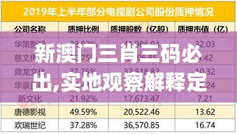新澳门三肖三码必出,实地观察解释定义_ZKI15.848超级版
