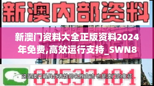 新澳门资料大全正版资料2024年免费,高效运行支持_SWN83.678沉浸版