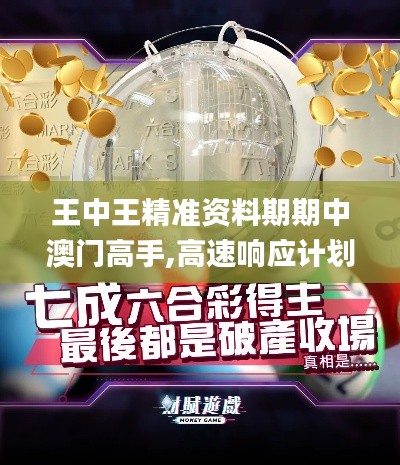 王中王精准资料期期中澳门高手,高速响应计划执行_WHC46.434游戏版