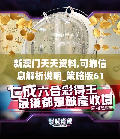 新澳门天天资料,可靠信息解析说明_策略版61.169-3