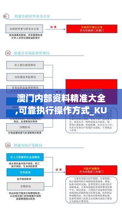 澳门内部资料精准大全,可靠执行操作方式_KUF16.652并发版
