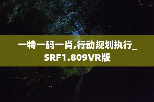 一特一码一肖,行动规划执行_SRF1.809VR版