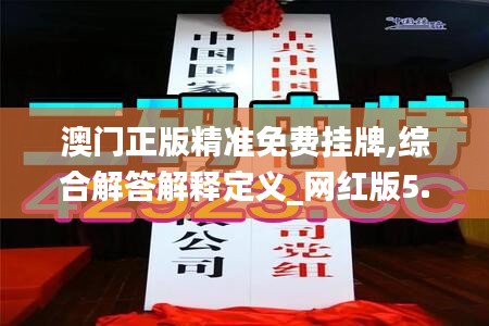 澳门正版精准免费挂牌,综合解答解释定义_网红版5.394