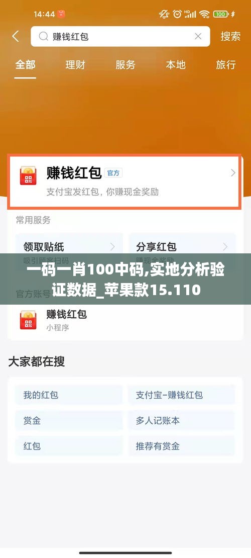 一码一肖100中码,实地分析验证数据_苹果款15.110