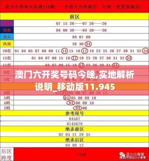 澳门六开奖号码今晚,实地解析说明_移动版11.945