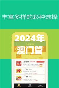 2024年澳门管家婆三肖100%,灵活解析实施_Gold4.388
