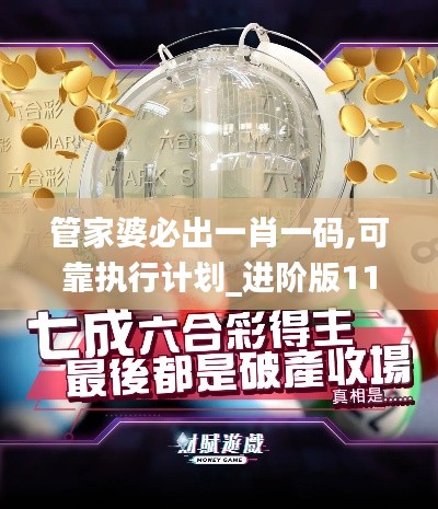 管家婆必出一肖一码,可靠执行计划_进阶版11.887