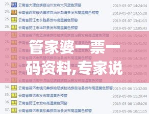 管家婆一票一码资料,专家说明解析_YE版10.434