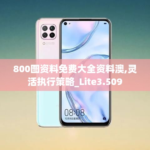 800图资料免费大全资料澳,灵活执行策略_Lite3.509