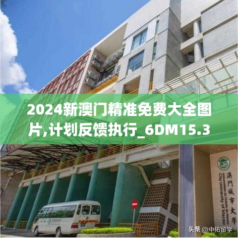 2024新澳门精准免费大全图片,计划反馈执行_6DM15.392