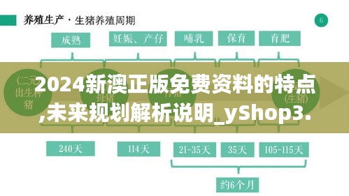 2024新澳正版免费资料的特点,未来规划解析说明_yShop3.660