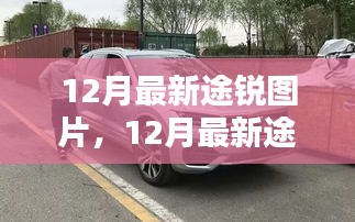 接连不断 第3页