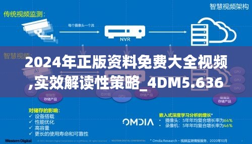 2024年正版资料免费大全视频,实效解读性策略_4DM5.636