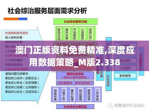 澳门正版资料免费精准,深度应用数据策略_M版2.338