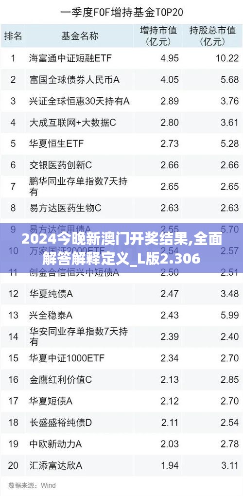 2024今晚新澳门开奖结果,全面解答解释定义_L版2.306