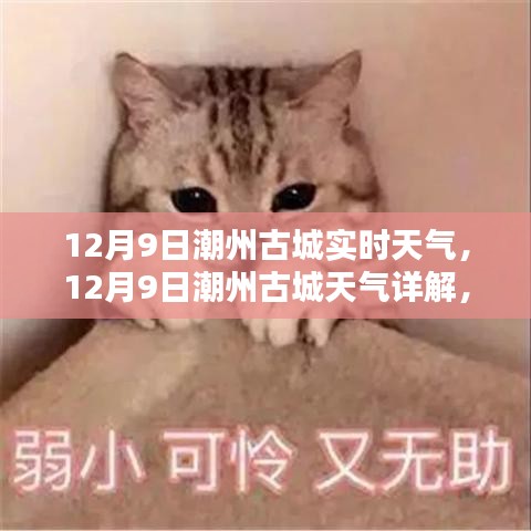 潮州古城天气预报，获取实时天气信息及应对建议的指南（12月9日）