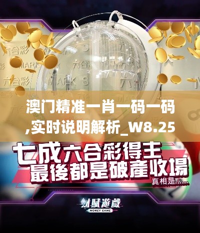 澳门精准一肖一码一码,实时说明解析_W8.256