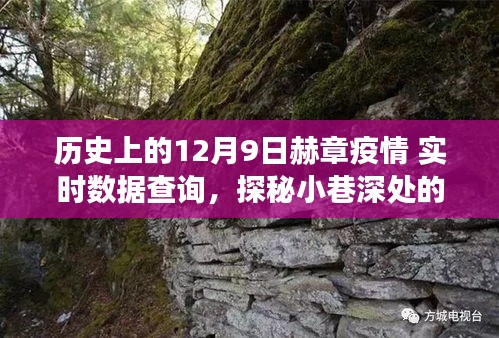 历史上的十二月九日赫章疫情实时数据与小巷深处的特色小店探秘之旅