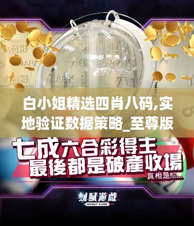 白小姐精选四肖八码,实地验证数据策略_至尊版1.254