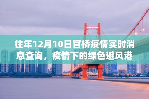 疫情下的绿色避风港，探寻官桥美景与内心宁静之旅的实时消息查询