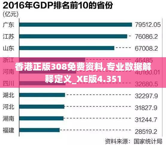 香港正版308免费资料,专业数据解释定义_XE版4.351