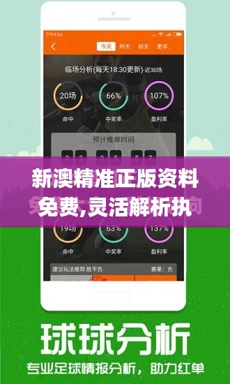 新澳精准正版资料免费,灵活解析执行_R版7.665