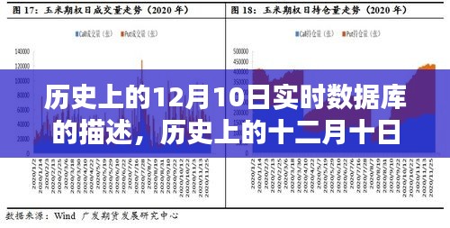 剑拔弩张 第4页