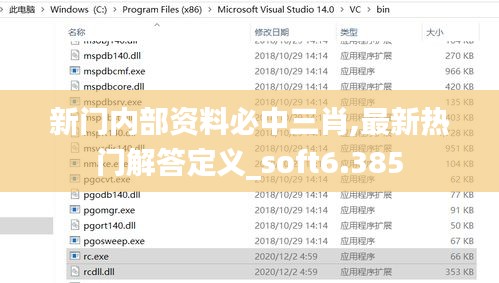 新门内部资料必中三肖,最新热门解答定义_soft6.385