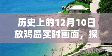 探秘放鸡岛，12月10日历史画卷与小巷风情实时画面揭秘