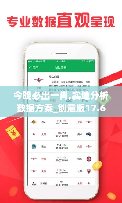 今晚必出一肖,实地分析数据方案_创意版17.657
