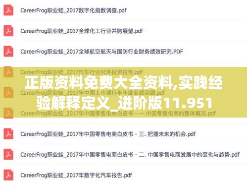 正版资料免费大全资料,实践经验解释定义_进阶版11.951