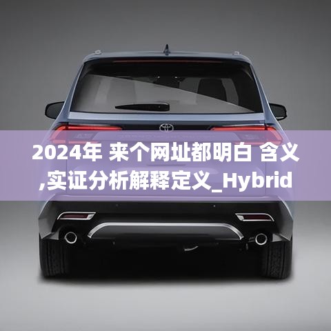 2024年 来个网址都明白 含义,实证分析解释定义_Hybrid1.111