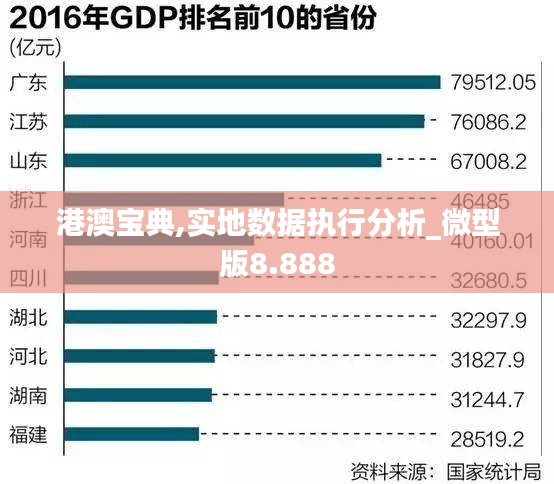 港澳宝典,实地数据执行分析_微型版8.888