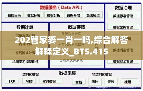 202管家婆一肖一吗,综合解答解释定义_BT5.415