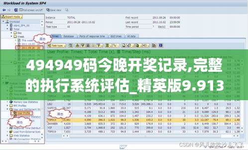 494949码今晚开奖记录,完整的执行系统评估_精英版9.913