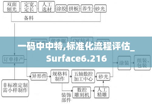 一码中中特,标准化流程评估_Surface6.216