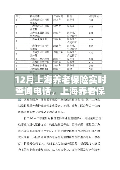 上海养老保险实时查询电话服务详解，优劣分析与个人观点