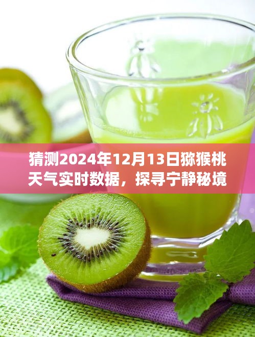 举世无双 第4页