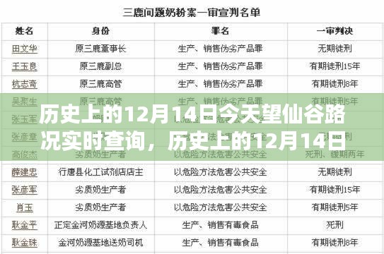 深度分析与观点阐述