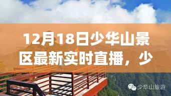 梨花带雨 第3页