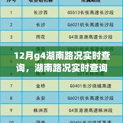 深度解析与观点阐述