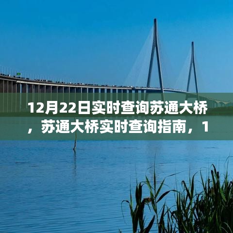 进阶用户指南