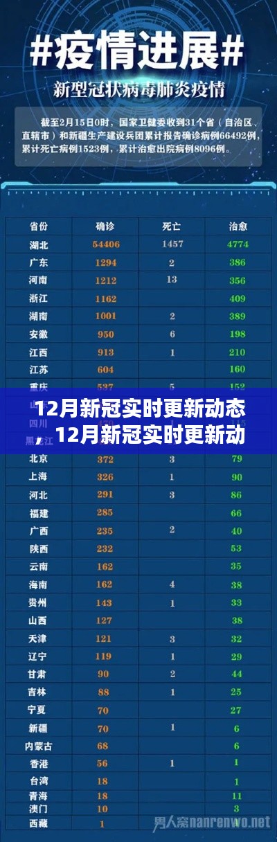 全面评测与介绍