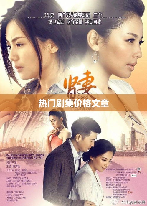 热门剧集价格解析