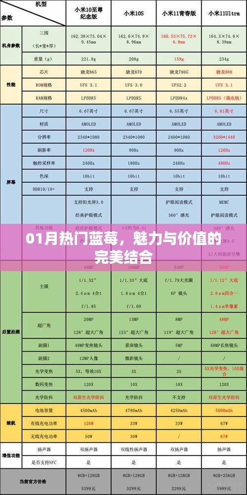 一月热门蓝莓，魅力与价值的完美交融