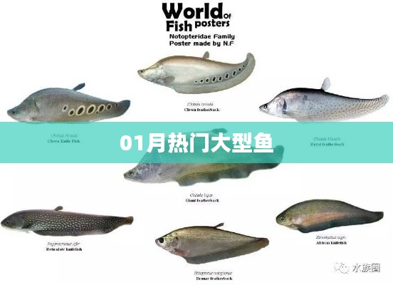 千里迢迢 第3页