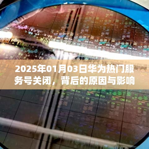 忠心耿耿 第3页